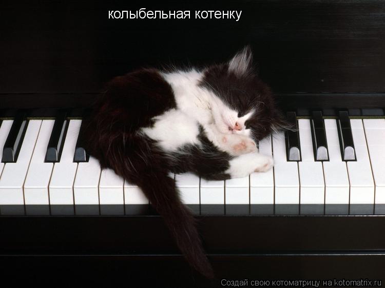 Котоматрица: колыбельная котенку