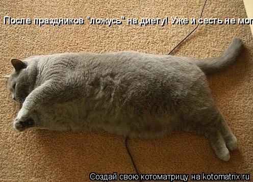 Котоматрица: После праздников "ложусь" на диету! Уже и сесть не могу...