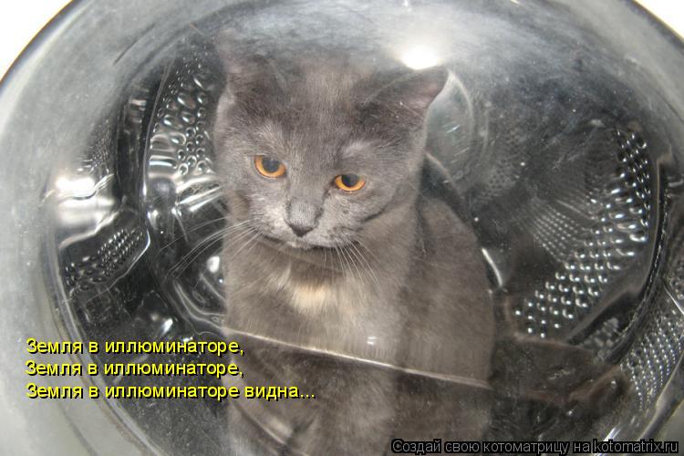 Котоматрица: Земля в иллюминаторе, Земля в иллюминаторе видна...  Земля в иллюминаторе,