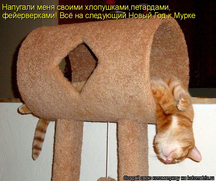 Котоматрица: Напугали меня своими хлопушками,петардами, фейерверками! Всё на следующий Новый Год к Мурке