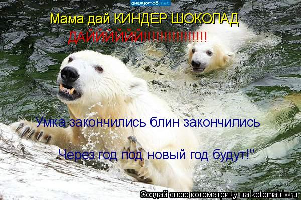 Котоматрица: ДАЙЙЙЙЙЙ!!!!!!!!!!!!!!!! Мама дай КИНДЕР ШОКОЛАД  Умка закончились блин закончились  Через год под новый год будут!"