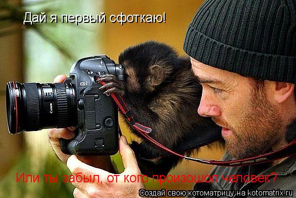 Котоматрица: Дай я первый сфоткаю! Или ты забыл, от кого произошол человек?