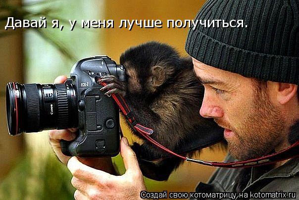 Котоматрица: Давай я, у меня лучше получиться.