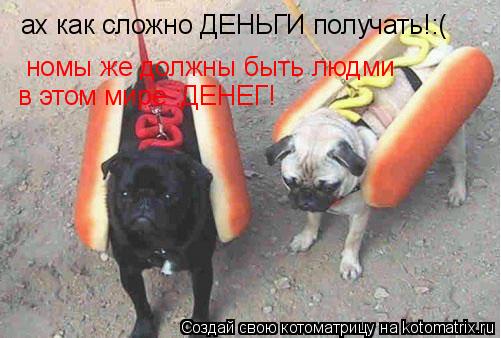 Котоматрица: ах как сложно ДЕНЬГИ получать!:( номы же должны быть людми  в этом мире :ДЕНЕГ!