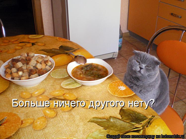 Котоматрица: Больше ничего другого нету?