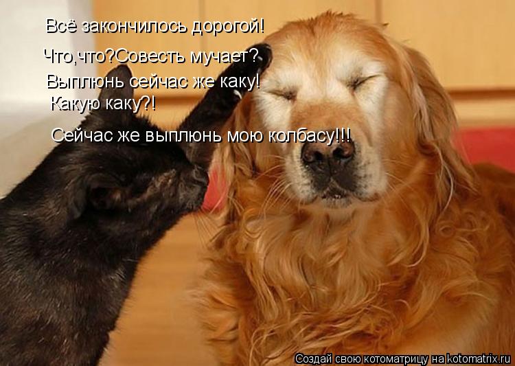Котоматрица: Всё закончилось дорогой! Что,что?Совесть мучает? Выплюнь сейчас же каку! Какую каку?! Сейчас же выплюнь мою колбасу!!!