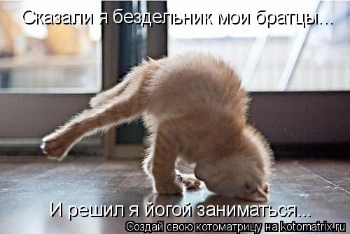 Котоматрица: Сказали я бездельник мои братцы... И решил я йогой заниматься...