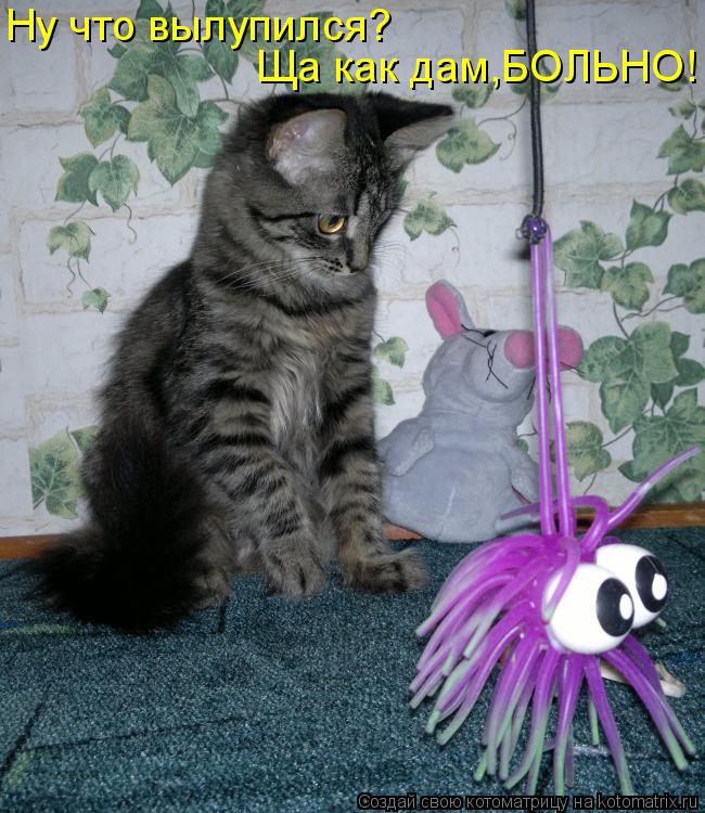 Котоматрица: Ну что вылупился? Ща как дам,БОЛЬНО!