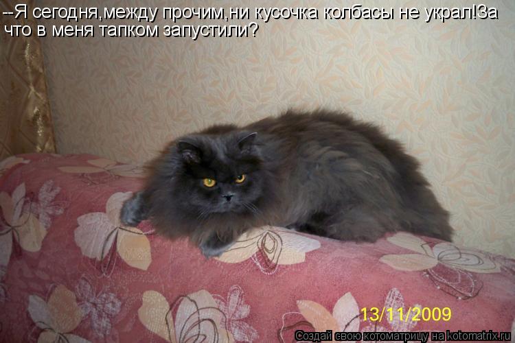 --Я сегодня,между прочим,ни кусочка колбасы не украл!За что в меня тапком запустили?... Котоматрица: --Я сегодня,между прочим,ни кусочка колбасы не украл!За что в меня тапком запустили?