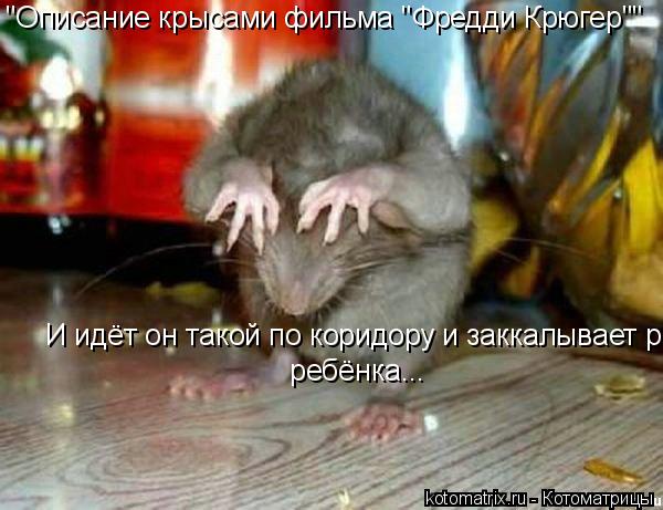 "Описание крысами фильма "Фредди Крюгер"" И идёт он такой по коридору и заккалывает ребёнка ребёнка.... Котоматрица: "Описание крысами фильма "Фредди Крюгер"" И идёт он такой по коридору и заккалывает ребёнка ребёнка...