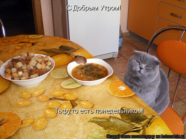 С Добрым Утром! Тьфу,то есть понедельником!... Котоматрица: С Добрым Утром! Тьфу,то есть понедельником!
