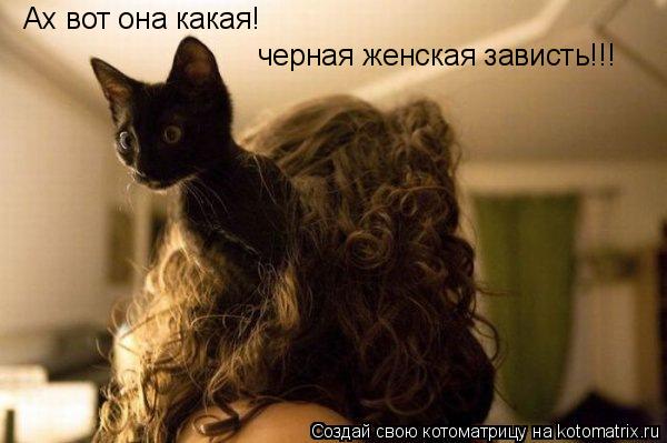 Ах вот она какая! черная женская зависть!!!... Котоматрица: Ах вот она какая! черная женская зависть!!!