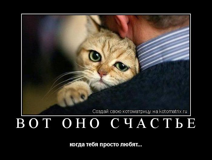 Котоматрица: Вот оно счастье когда тебя просто любят...