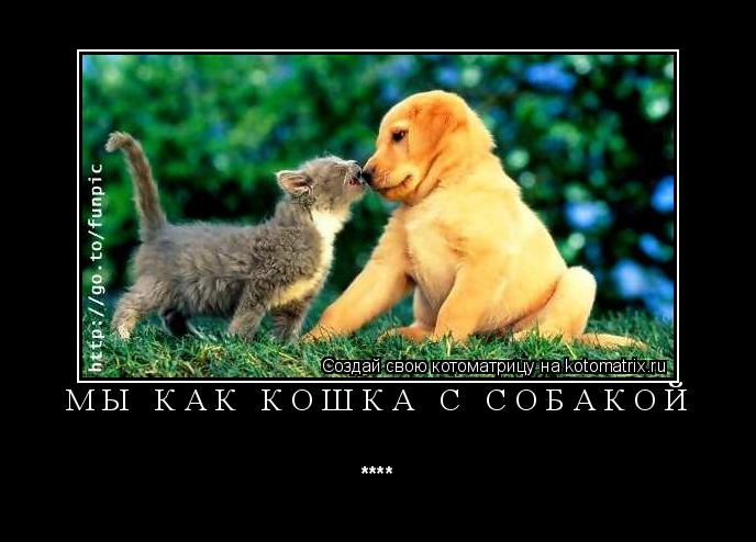 Котоматрица: Мы как кошка с собакой ****