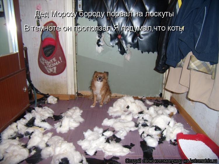 Дед Морозу бороду порвал на лоскуты В темноте он проползал.Я подумал,что коты... Котоматрица: Дед Морозу бороду порвал на лоскуты В темноте он проползал.Я подумал,что коты