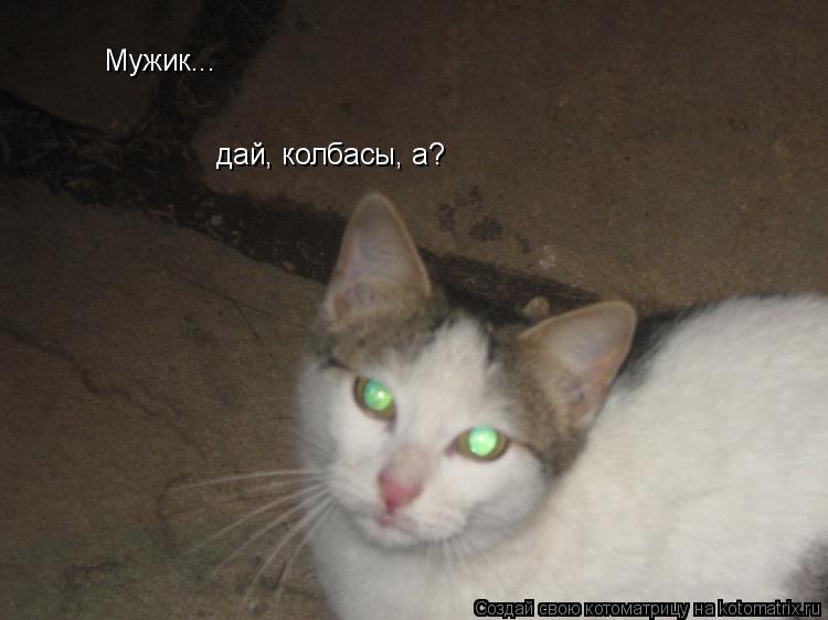 Мужик... дай, колбасы, а?... Котоматрица: Мужик... дай, колбасы, а?
