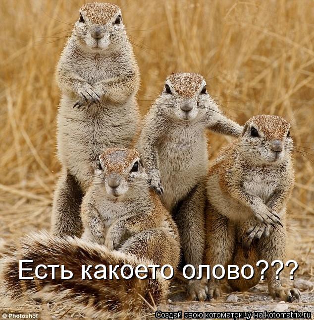 Есть какоето олово???... Котоматрица: Есть какоето олово???