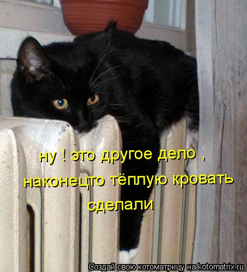 ну ! это другое дело , наконецто тёплую кровать сделали... Котоматрица: ну ! это другое дело , наконецто тёплую кровать сделали