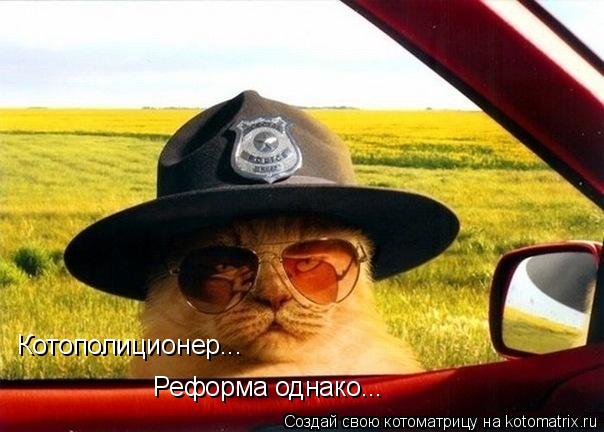 Котополиционер... Реформа однако...... Котоматрица: Котополиционер... Реформа однако...