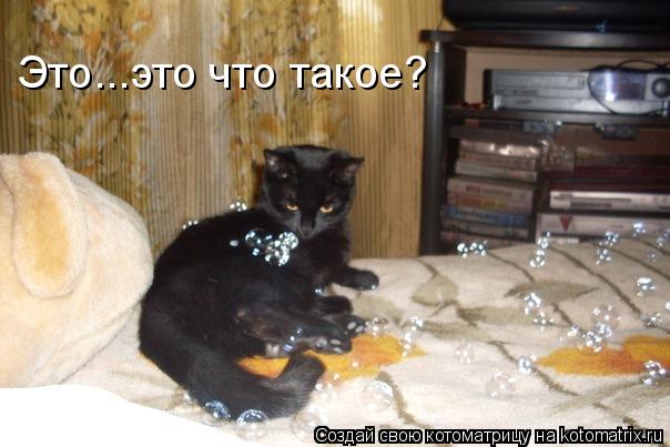 Это...это что такое?... Котоматрица: Это...это что такое?
