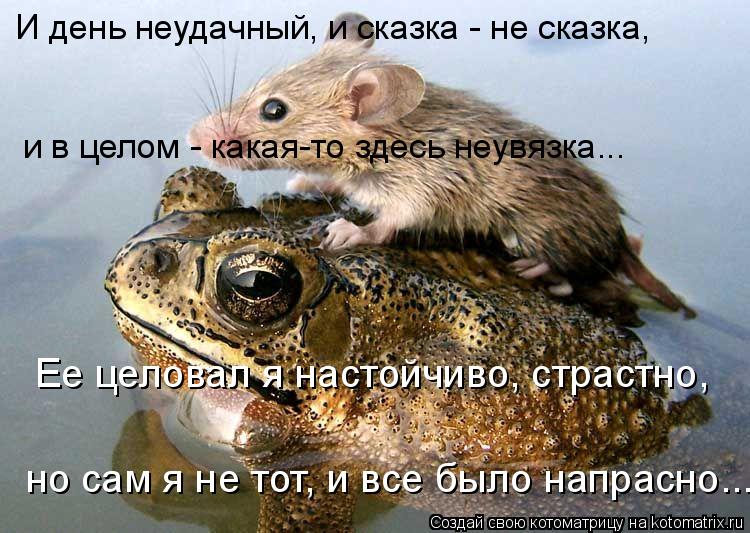 Ее целовал я настойчиво, страстно, но сам я не тот, и все было напрасно... И день неудачный, и сказк... Котоматрица: Ее целовал я настойчиво, страстно, но сам я не тот, и все было напрасно... И день неудачный, и сказка - не сказка, и в целом - какая-то здесь неув