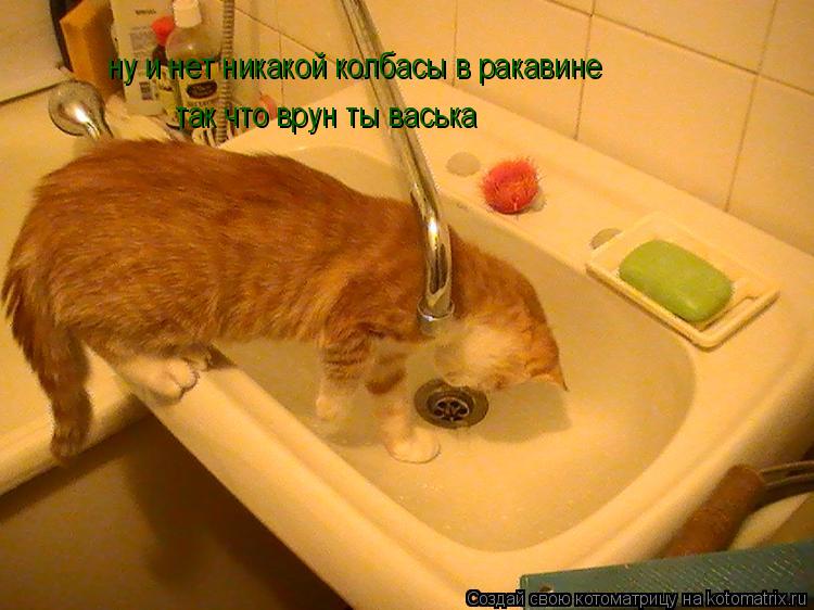 ну и нет никакой колбасы в ракавине так что врун ты васька... Котоматрица: ну и нет никакой колбасы в ракавине так что врун ты васька