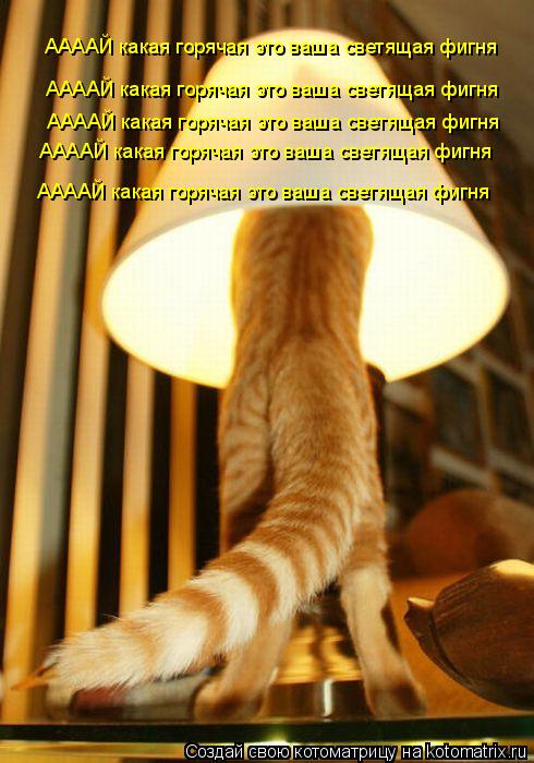 ААААЙ какая горячая это ваша светящая фигня ААААЙ какая горячая это ваша светящая фигня ААААЙ какая г... Котоматрица: ААААЙ какая горячая это ваша светящая фигня ААААЙ какая горячая это ваша светящая фигня ААААЙ какая горячая это ваша светящая фигня ААААЙ