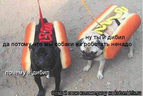 ну ты и дибил почему я дибил да потому что мы собаки на роботать ненадо... Котоматрица: ну ты и дибил почему я дибил да потому что мы собаки на роботать ненадо