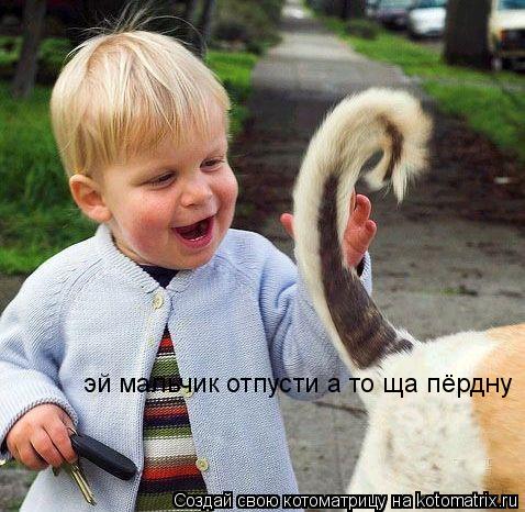 эй мальчик отпусти а то ща пёрдну... Котоматрица: эй мальчик отпусти а то ща пёрдну