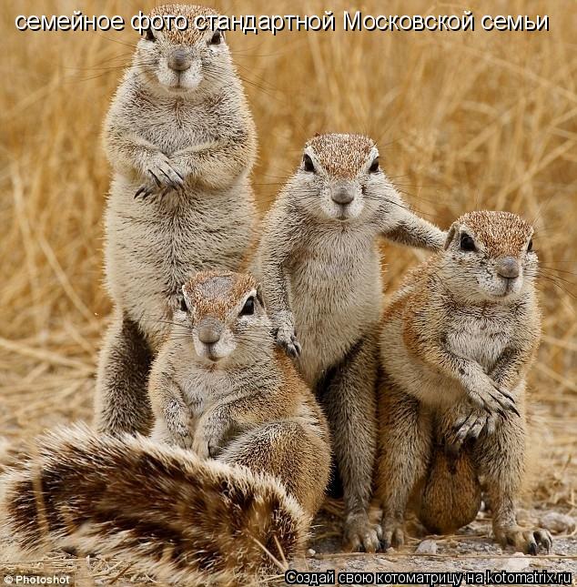 семейное фото стандартной Московской семьи... Котоматрица: семейное фото стандартной Московской семьи