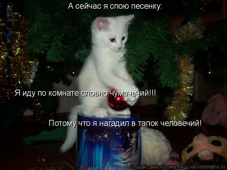 А сейчас я спою песенку: Я иду по комнате словно чумачечий!!! Потому что я нагадил в тапок человечий!... Котоматрица: А сейчас я спою песенку: Я иду по комнате словно чумачечий!!! Потому что я нагадил в тапок человечий!