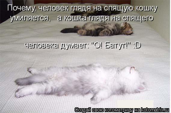 Почему, человек глядя на спящую кошку умиляется, а кошка глядя на спящего человека думает: "О! Бату... Котоматрица: Почему, человек глядя на спящую кошку умиляется, а кошка глядя на спящего человека думает: "О! Батут!" :D
