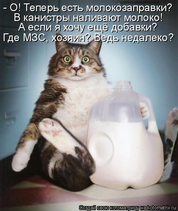 - О! Теперь есть молокозаправки? В канистры наливают молоко! А если я хочу ещё добавки? Где МЗС, хозя... Котоматрица: - О! Теперь есть молокозаправки? В канистры наливают молоко! А если я хочу ещё добавки? Где МЗС, хозяин? Ведь недалеко?