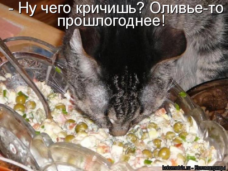 - Ну чего кричишь? Оливье-то прошлогоднее!... Котоматрица: - Ну чего кричишь? Оливье-то прошлогоднее!