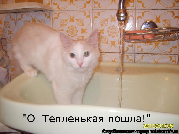"О! Тепленькая пошла!" "О! Тепленькая пошла!"... Котоматрица: "О! Тепленькая пошла!" "О! Тепленькая пошла!"