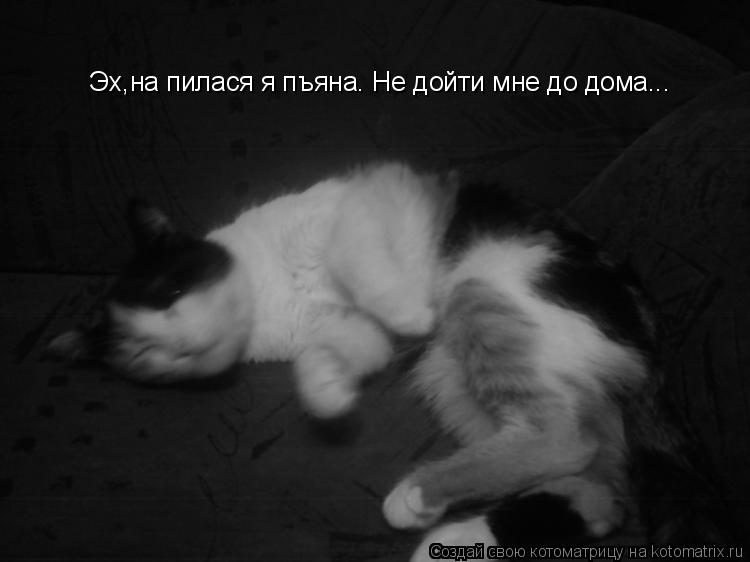 Эх,на пилася я пъяна. Не дойти мне до дома...... Котоматрица: Эх,на пилася я пъяна. Не дойти мне до дома...