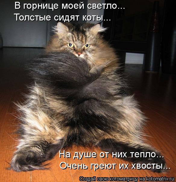 В горнице моей светло... Толстые сидят коты... На душе от них тепло... Очень греют их хвосты...... Котоматрица: В горнице моей светло... Толстые сидят коты... На душе от них тепло... Очень греют их хвосты...
