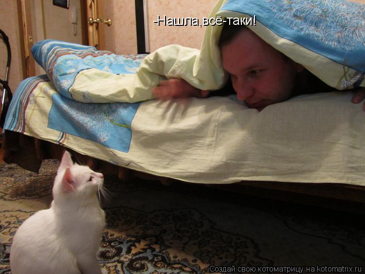 -Нашла,всё-таки!... Котоматрица: -Нашла,всё-таки!
