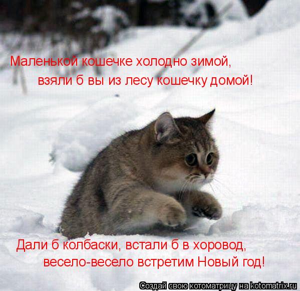 взяли б вы из лесу кошечку домой! Маленькой кошечке холодно зимой, Дали б колбаски, встали б в хорово... Котоматрица: взяли б вы из лесу кошечку домой! Маленькой кошечке холодно зимой, Дали б колбаски, встали б в хоровод, весело-весело встретим Новый год!