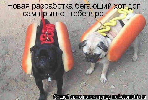 Новая разработка бегающий хот дог сам прыгнет тебе в рот... Котоматрица: Новая разработка бегающий хот дог сам прыгнет тебе в рот