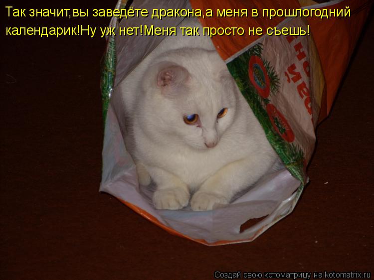 Так значит,вы заведёте дракона,а меня в прошлогодний календарик!Ну уж нет!Меня так просто не съешь!... Котоматрица: Так значит,вы заведёте дракона,а меня в прошлогодний календарик!Ну уж нет!Меня так просто не съешь!