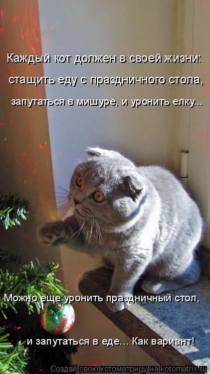 Каждый кот должен в своей жизни: стащить еду с праздничного стола, запутаться в мишуре, и уронить елк... Котоматрица: Каждый кот должен в своей жизни: стащить еду с праздничного стола, запутаться в мишуре, и уронить елку... и запутаться в еде... Как вариант! Мож