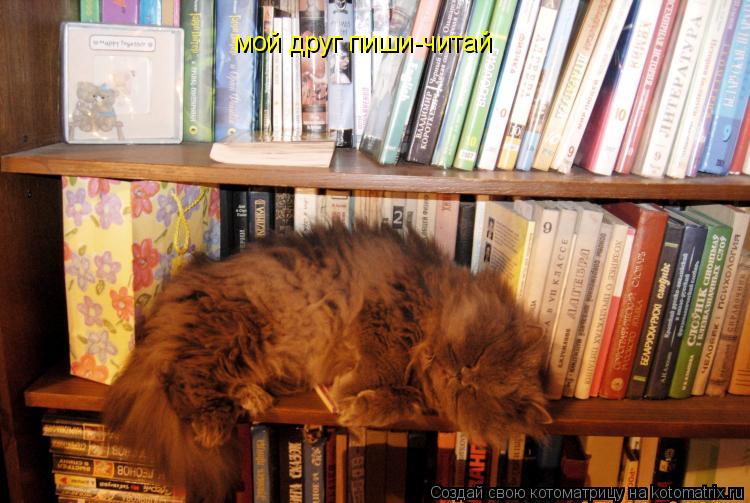 мой друг пиши-читай... Котоматрица: мой друг пиши-читай
