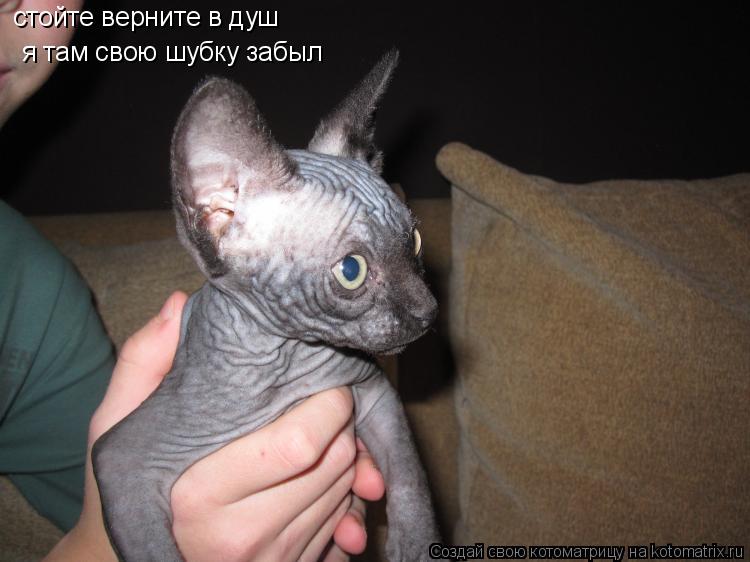 стойте верните в душ я там свою шубку забыл... Котоматрица: стойте верните в душ я там свою шубку забыл