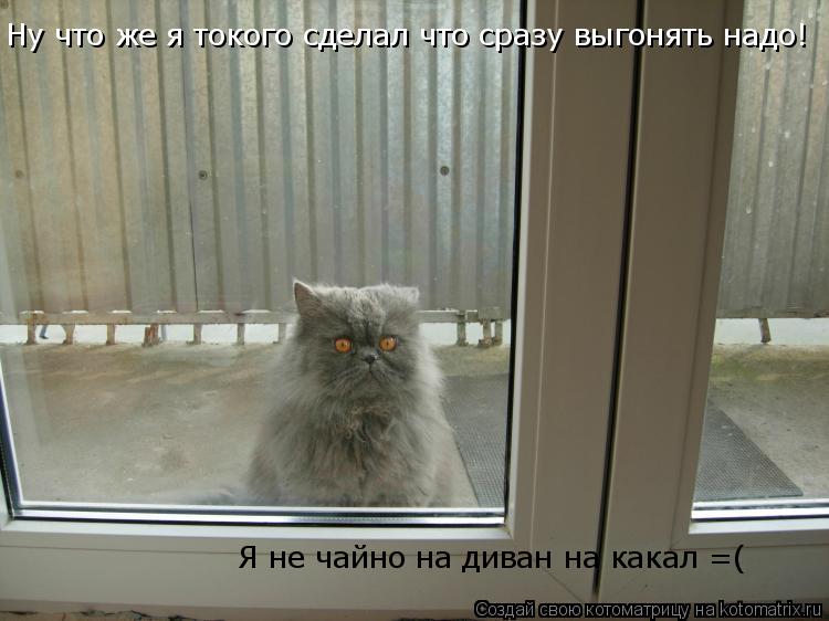 Ну что же я токого сделал что сразу выгонять надо! Я не чайно на диван на какал Я не чайно на диван н... Котоматрица: Ну что же я токого сделал что сразу выгонять надо! Я не чайно на диван на какал Я не чайно на диван на какал Я не чайно на диван на какал =(