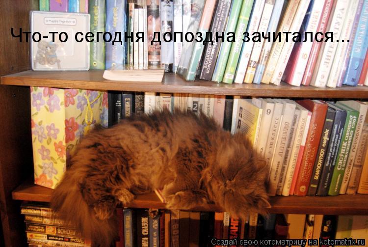 Что-то сегодня допоздна зачитался...... Котоматрица: Что-то сегодня допоздна зачитался...
