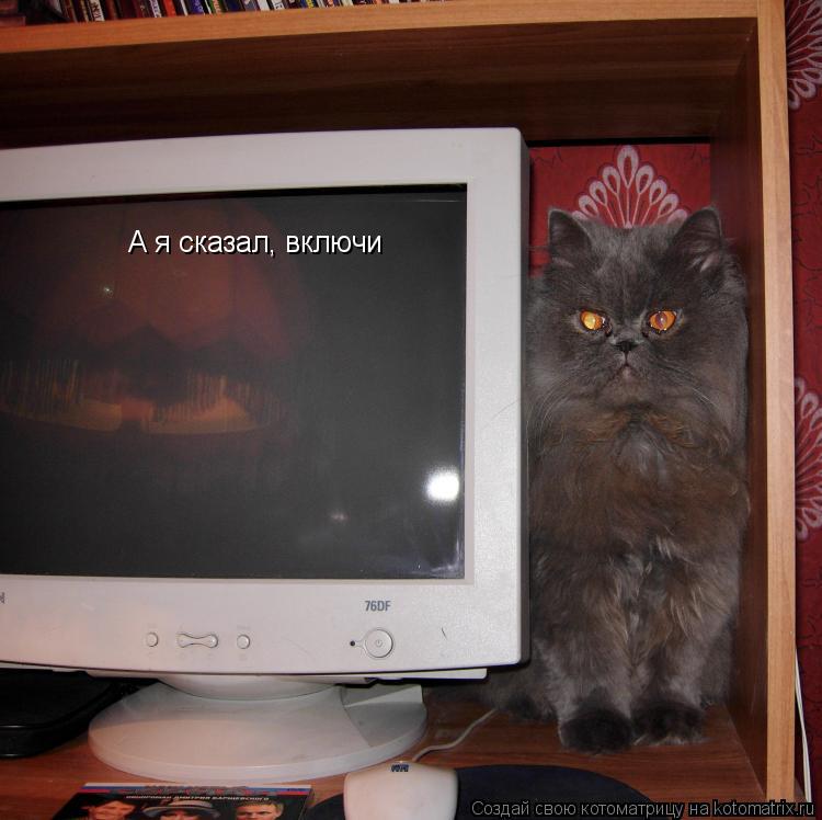 А я сказал, включи... Котоматрица: А я сказал, включи