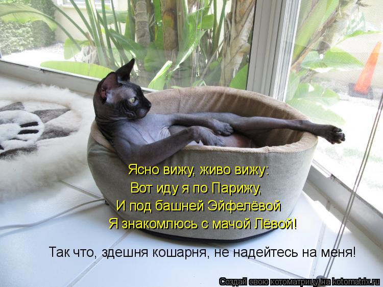 Котоматрица: Ясно вижу, живо вижу: Вот иду я по Парижу, И под башней Эйфелёвой Я знакомлюсь с мачой Лёвой! Так что, здешня кошарня, не надейтесь на меня!