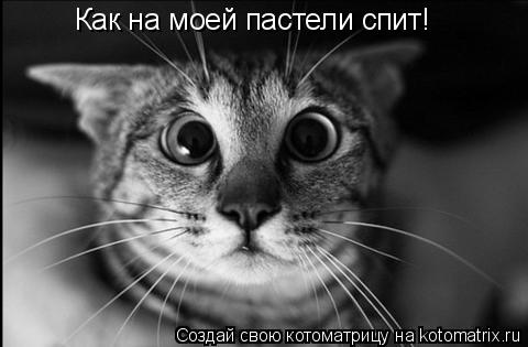 Как на моей пастели спит!... Котоматрица: Как на моей пастели спит!