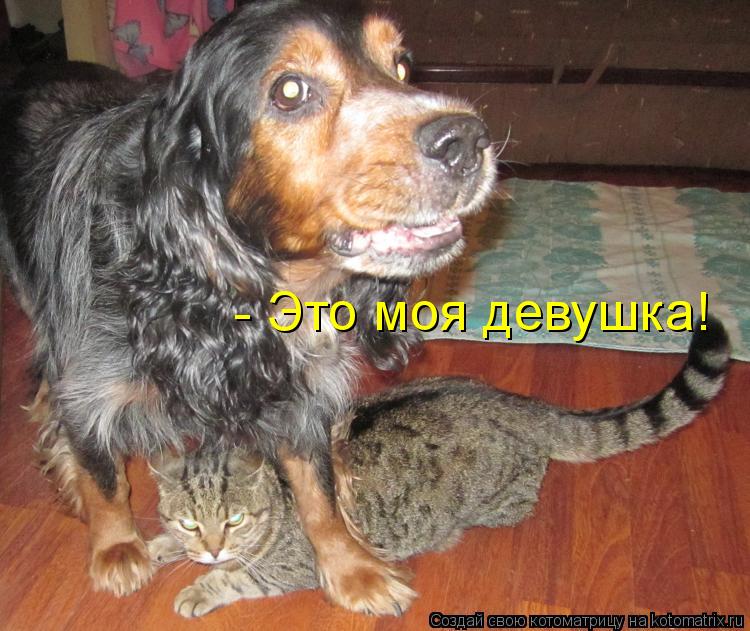 - Это моя девушка!... Котоматрица: - Это моя девушка!